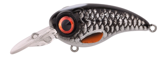 0001_Spro_Fat_Iris_50_CR_[Roach].jpg